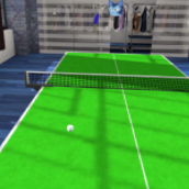 Table Tennis